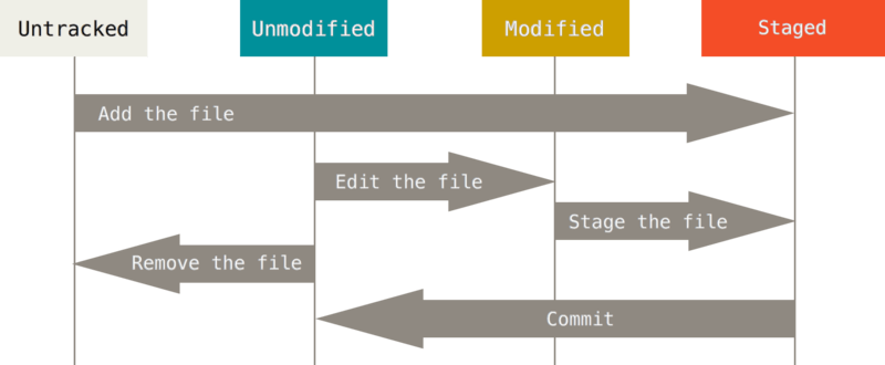 lifecycle Recording Changes to the Repository