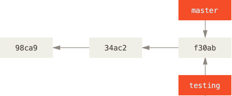 two branches Branches in a Nutshell